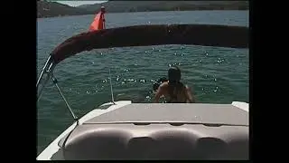 Summer Fun for these water lovers