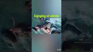 Silveta picnic spot