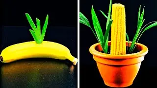 22 PLANT HACKS TO GROW YOUR OWN GARDEN