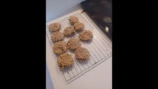 Papaws Oatmaeal Cookies with raisins
