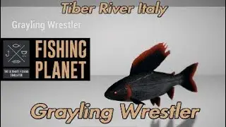 Хариус-борец-монстр - река Тибр, Италия - Fishing Planet