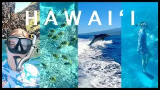 Seaquest Snorkel Tour in Kona, Hawaii