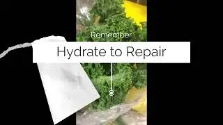 Revive your produce in the same ways you would your body. Do this.