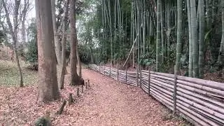 2026.01.07 曇り