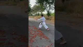 3 exercises to help improve Gyakuzuki Karate punches  #quanghaindk #karate #shortvideo #shorts