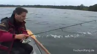 Auf Raubfisch - Hecht und Barsch am Wittensee