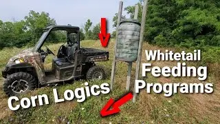 Whitetail Feed Program with Food Plots, Standing AG and Corn