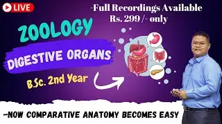 🔥🔥Digestive Organs - Comparative Anatomy || B.Sc. 2nd Year Zoology || Guaranteed 10 Marks 😲 ||