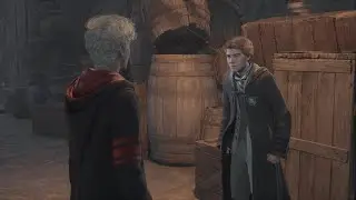 In the Shadow of Distance | Sebastian Sallow Quest &ndash; Hogwarts Legacy Walkthrough