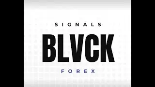 INDUCCION BLVCK FOREX
