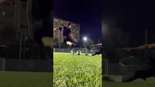 oh that's so cool meme😱🔥 | #shorts #tiktok #fyp #meme #cats