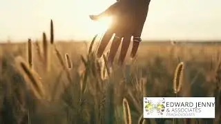 Understand the Drama Triangle & How Shame Keeps You Stuck | Break Free Now