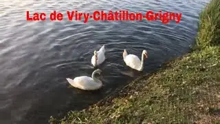 Lac de Viry-Ch&acirc;tillon-Grigny 4K- Driving- French region