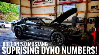 My Mustang Put up SURPRISING Numbers! | S197 Bolt-On Dyno!