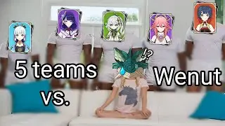 I Beat Wenut Using 5 Different Teams...