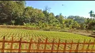 Our Village - Part 1 || Bangla Village || Ratabari Karimganj Assam India