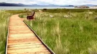 Old Marina Boardwalk , Mono Lake, CA