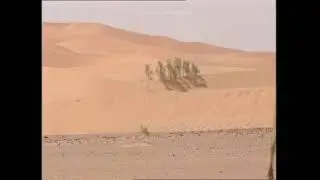 l’oasis blanche , Béni Abbès est située au sud ouest algérien dans la wilaya de Béchar image 🎥 2006