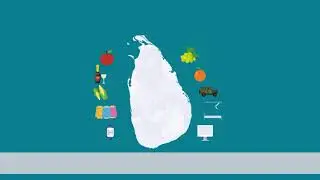 Navigating Import Controls During Economic Crisis