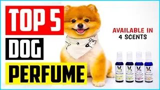 Top 5 Best Dog Perfume in 2022 Reviews