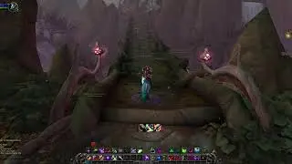 World of Warcraft: Shadowlands - Questing: Ride to Heartwood Grove