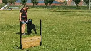 20240618 lydnad startklass