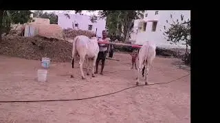 #The  international farmers story in telugu#youtube videos trending#