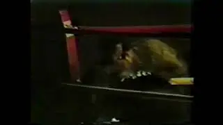 Women's Boxing 1980