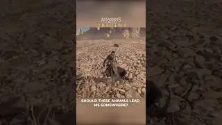 Do you know THIS about Assassin's Creed Origins?