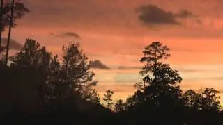 Endless Melancholy - Amber