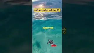 पानी का रंग का नीला क्यों होता है?#youtubeshorts #shorts #trending #viral#viralshorts #gk #studyhitz