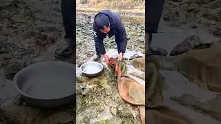 INSIDE net full of shrimp 😮🦐🌊 #shorts #skills #survival #outdoor #satisfying