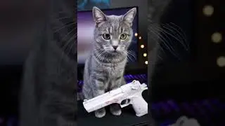 МНЕ УГРОЖАЕТ КОТ 🙀 #stadoff2
