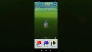 catching Litwick pokemon in pokemon Go