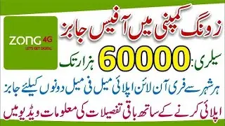 ZONG JOBS 2024 | How to Apply Online in ZONG Jobs | Pakistani Network ZONG Jobs 2024