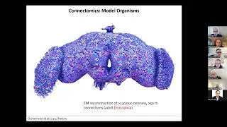 Making Connections - Prof. Olaf Sporns