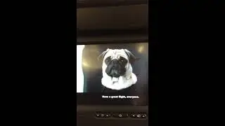 Air New Zealand Flight Safety Instructions