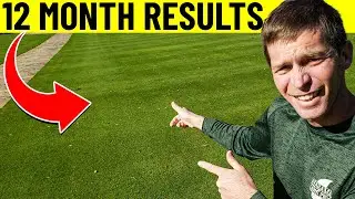 Warm and Cool Season Lawn Care Schedule - Month by Month