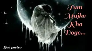 Tum mujhe kho doge...😒#poetry💔@preet_voice
