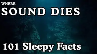 The Deepest Places on Earth Where Sound Cannot Travel |101 Sleepy Facts