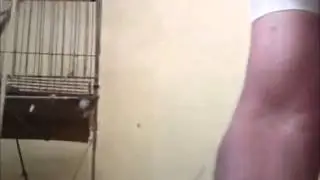 Ai ai ai fur&Ocirc;