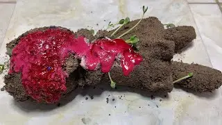 Clean Stuffed | dirty old Stuffed Toys to Like New | cleaning satisfying Toy washing ASMR