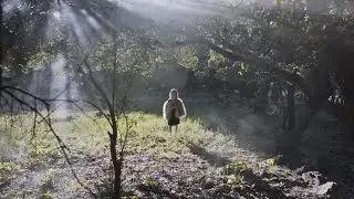 The Elders | Grow Wild