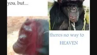 R.I.P Jim and Charlie