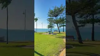 📍Townsville, Queensland #beach #australia #queensland #queenslandaustralia #visitaustralia🦥
