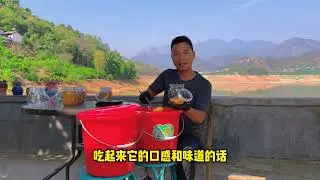 去年丁叔取下的冬蜜.存放半年凝固后就像沙漠的沙子一样细沙金黄蜜香浓郁。 #高山蜂蜜  #蜂蜜 #我的乡村生活