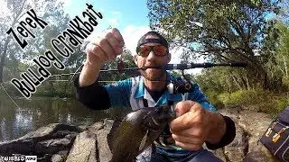 Tiny Lure CHALLENGE! Zerek Bulldog Crankbait