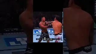 &ldquo;They put on an absolute war&rdquo; #ufc #combatsport #mma