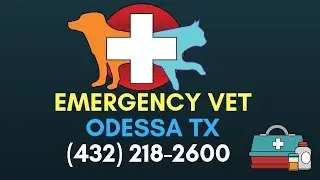 24 Hour Vet Odessa TX | West Texas Emergency Vet Odessa TX | (432) 218-2600