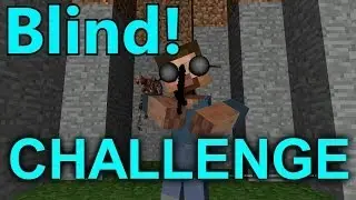 Blind Potion Challenge (Minecraft)